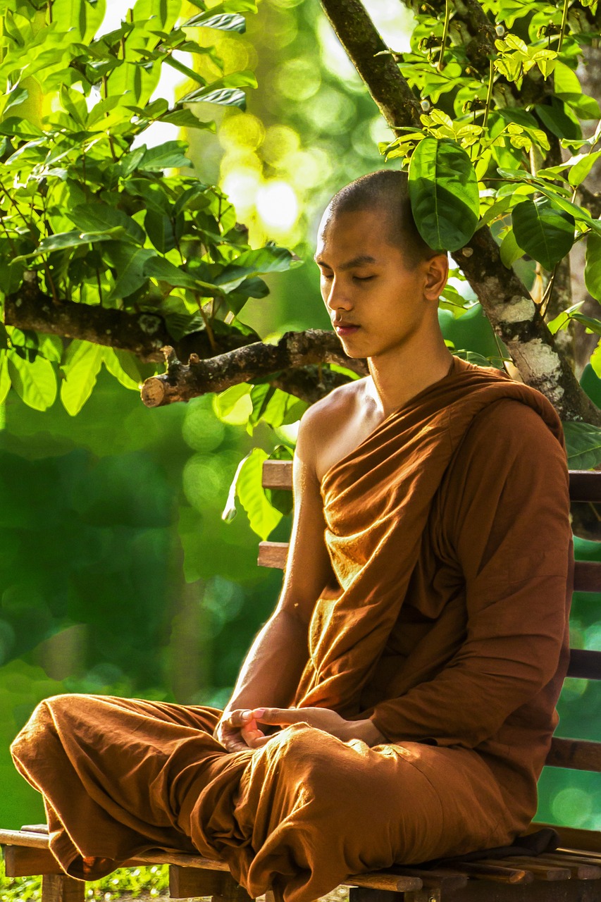 monk, meditate, zen, meditation, monk meditating, theravada buddhism, religion, religious, meditating, spiritual, buddhism, spirituality, peace, bhikkhu, peaceful, monk, meditation, meditation, meditation, meditation, meditation